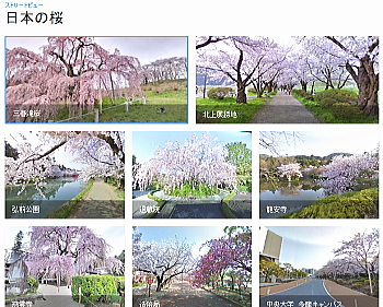 「日本の桜」